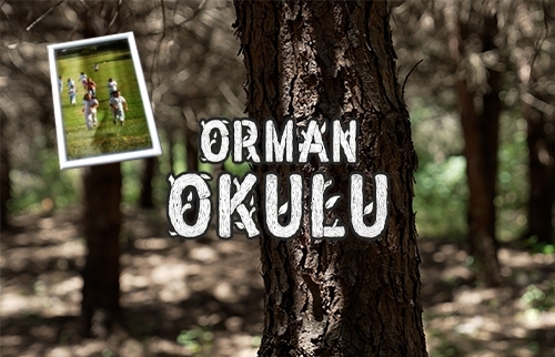 Orman Okulu