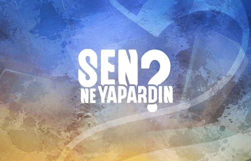 Sen Ne Yapardın?