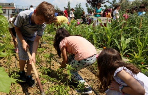 ‘Her Sınıfın Bir bahçesi Var’ Projesiyle Öğrenciler Sebze Yetiştirdi