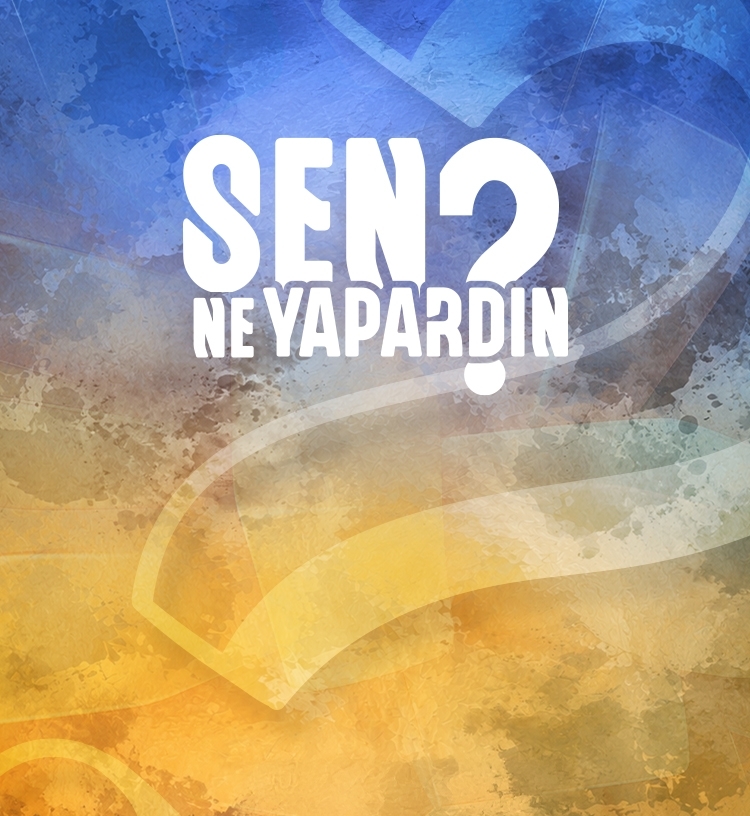 Sen Ne Yapardın?