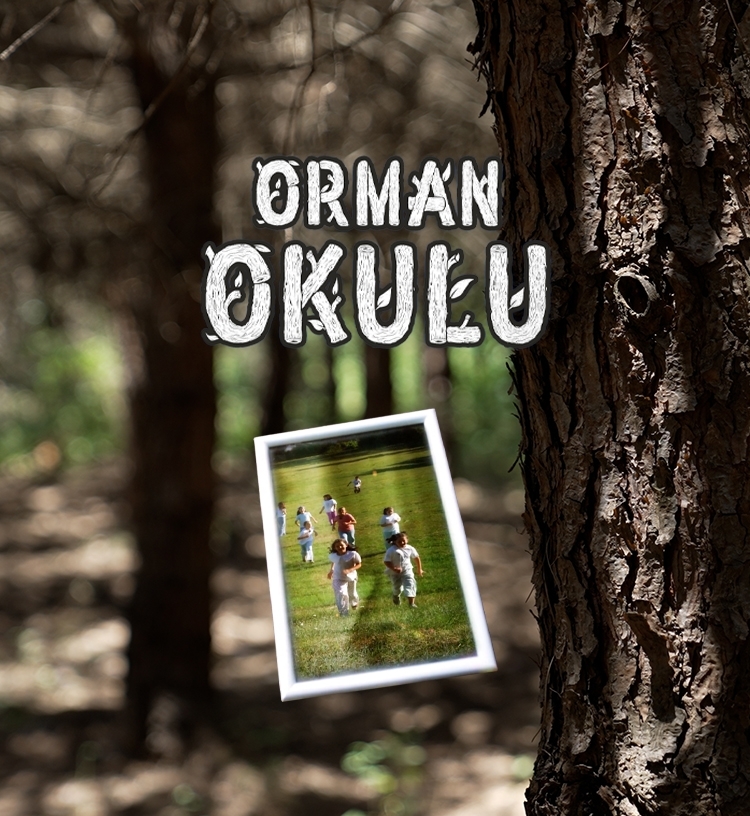 Orman Okulu