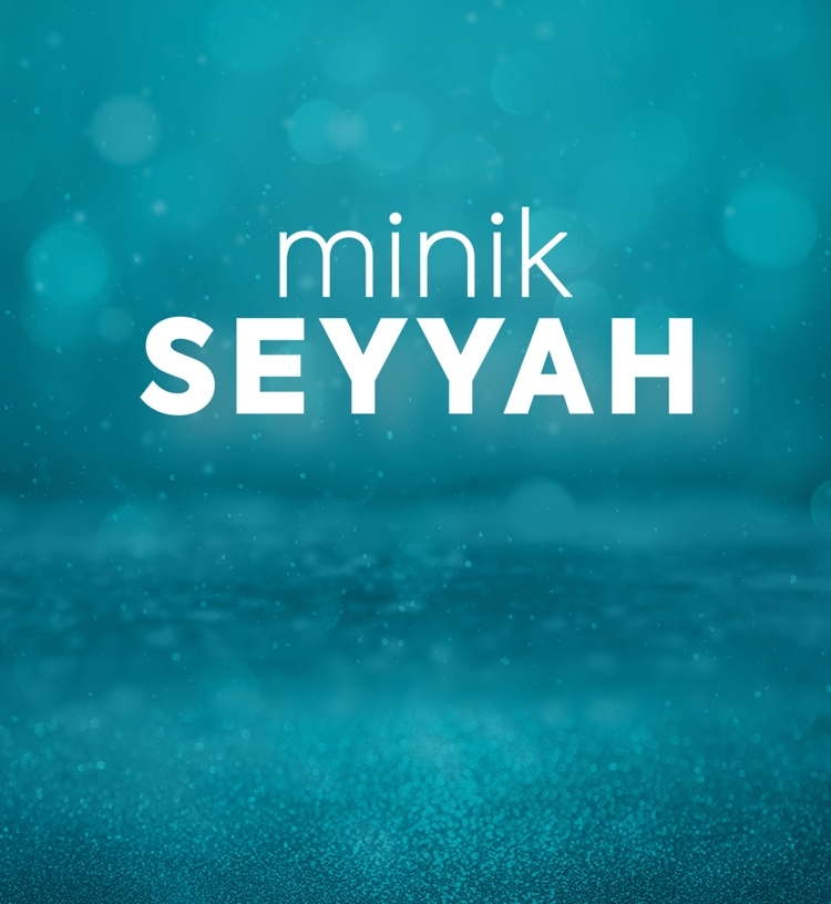 Minik Seyyah