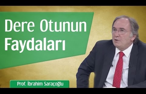 Dere Otunun Faydaları - Prof. İbrahim Saraçoğlu 