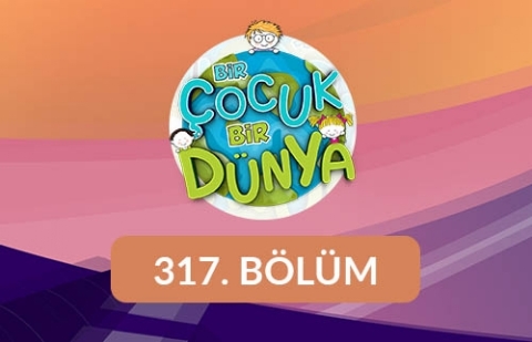 Bir Çocuk Bir Dünya - 317.Bölüm