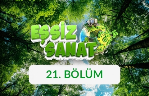 Kaplumbağa - Eşsiz Sanat 21. Bölüm