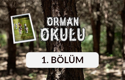 Orman Okulu - 1. Bölüm