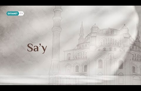 Sa'y